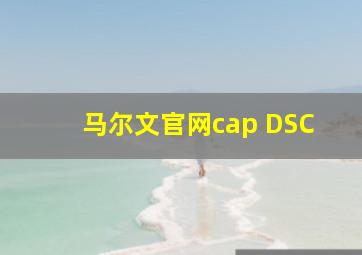 马尔文官网cap DSC